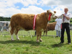 Cork15-Champion-Clonagh-Willow.jpg