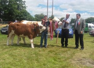 Dunmanway-Overall-Champ-Clonagh-Delightfully-Fabulous.jpg