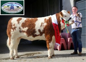 Glenamaddy-Show-Champ-Tawley-Gretta.jpg