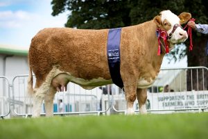 Highland-Show-Overall-Sim-Auroch-Eve.jpg