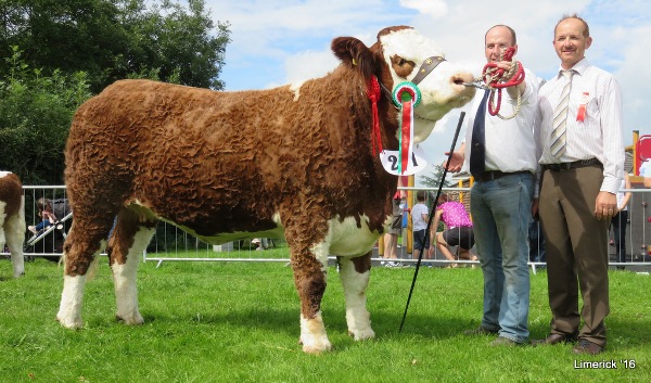Limerick-Champ-Fearna-Faith.jpg