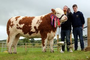 Swinford-Champ-Interbreed-Champ-Tawley-Gretta.jpg