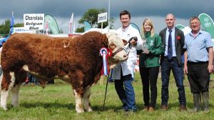 Virginia-FBD-Sponsored-Overall-Calf-Champ-Dermotstown-High-King.jpg