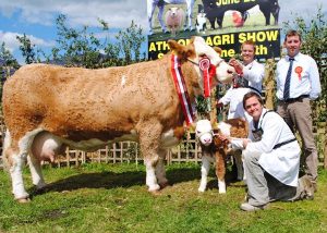 athlone_show_champ_fearna_vienna.jpg