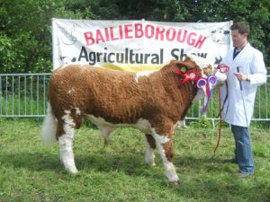 baileborough13_overall_champ_dermotstown_del_boy_et.jpg