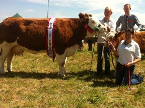 ballina13_champ_interbreed_champ_seepa_aster.jpg