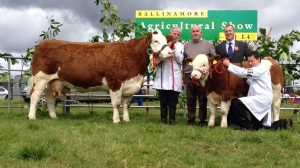 ballinamore-champ-seepa-aster.jpg