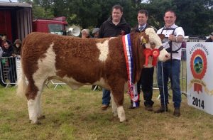 ballyshannon-champ-corbally-eires-vip.jpg