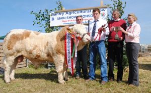 bantry-show-overall-champ-castlegale-eric.jpg