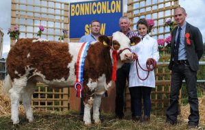 bonniconlon-mcpadden-national-simmental-x-heifer.jpg