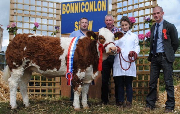 bonniconlon-mcpadden-national-simmental-x-heifer.jpg