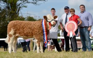 celticsires_snr_heifer_calf_clonguish_elegant.jpg