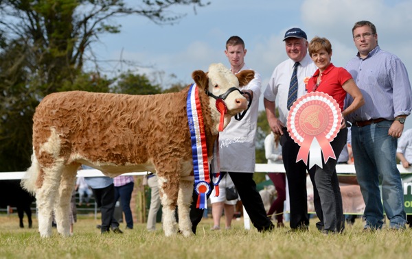 celticsires_snr_heifer_calf_clonguish_elegant.jpg