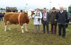 claremorris_mcwilliam_heifer.jpg