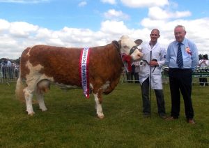 cork_champ_corbally_vintage_katie.jpg