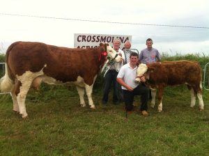 crossmolina13_interbreed_champ_seepa_aster.jpg