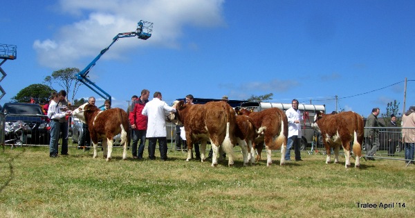 kingdom_co_fair_champ_line-up.jpg