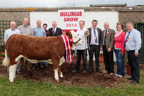 mullingar_inter_champ_raceview_evita_winty.jpg