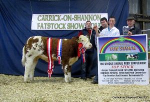 national-weanling-champ-overall-sim-champ-ian-connelly-glinsk-castlerea.jpg