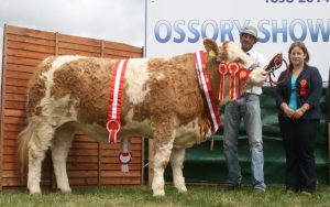 ossory-show-champ-dora-the-explorer.jpg