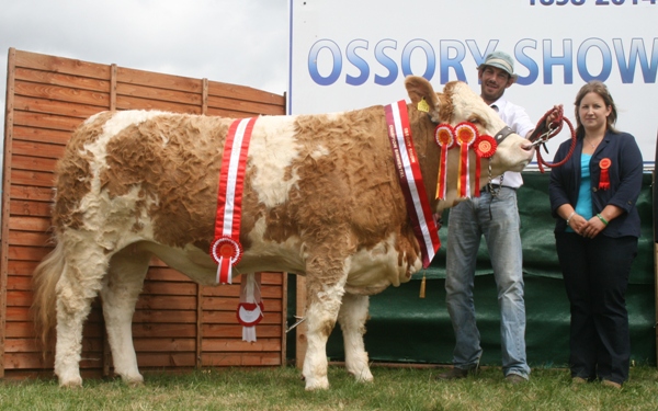 ossory-show-champ-dora-the-explorer.jpg