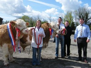 tull_120512_male_champ_jennalyn_casino_et__res_champ_clonagh_cracker_rex.jpg