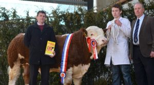 tullamore_show_sale_male_champion_2014.jpg