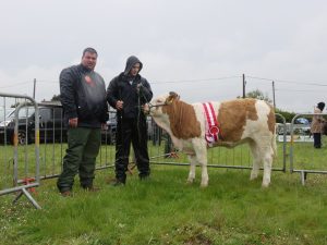 Kingdom County Fair Champion 'Mohona Freckle'