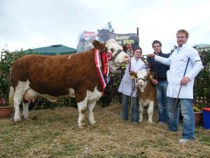 Athlone 2011 Champion &#039;Fearna Tiffany&#039;