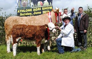 Athlone 2013 Champion 'Raceview Winty Matilda'