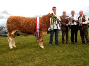 Bandon Overall Interbreed Champion 'Slieveroe Debbie'
