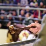 Catalogue Here for Tullamore Evening Show & Sale Friday 25th April 2025