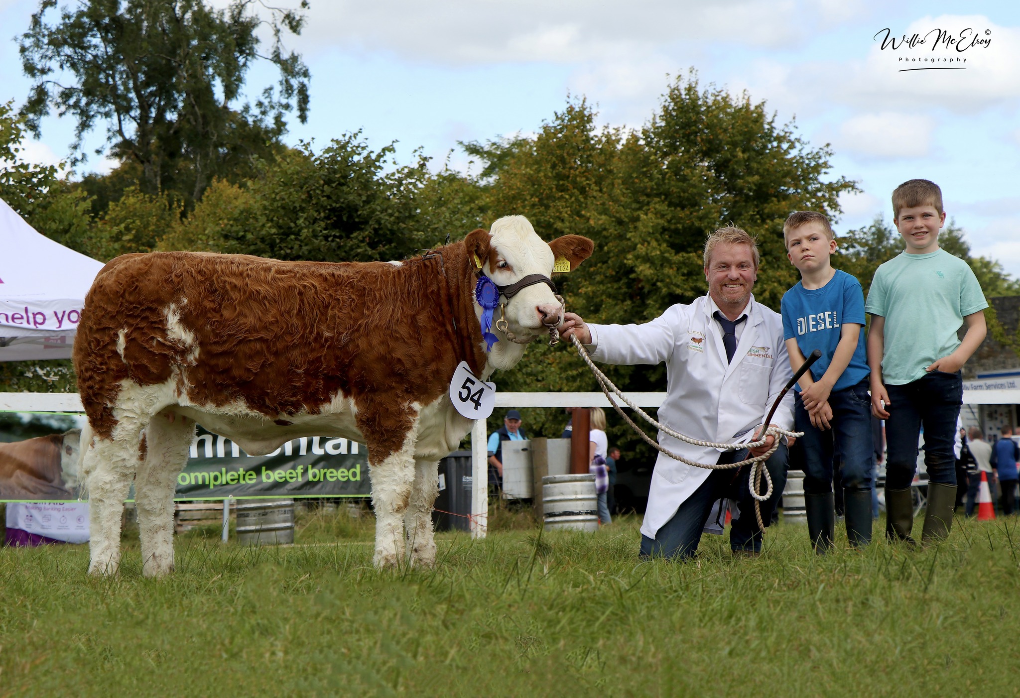 Read more about the article Date for your Diary! National Simmental Calf Finals Sept 14th 2024 at Strokestown Show