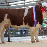 October Premier Show & Sale Entry Form and Fact Sheet Here