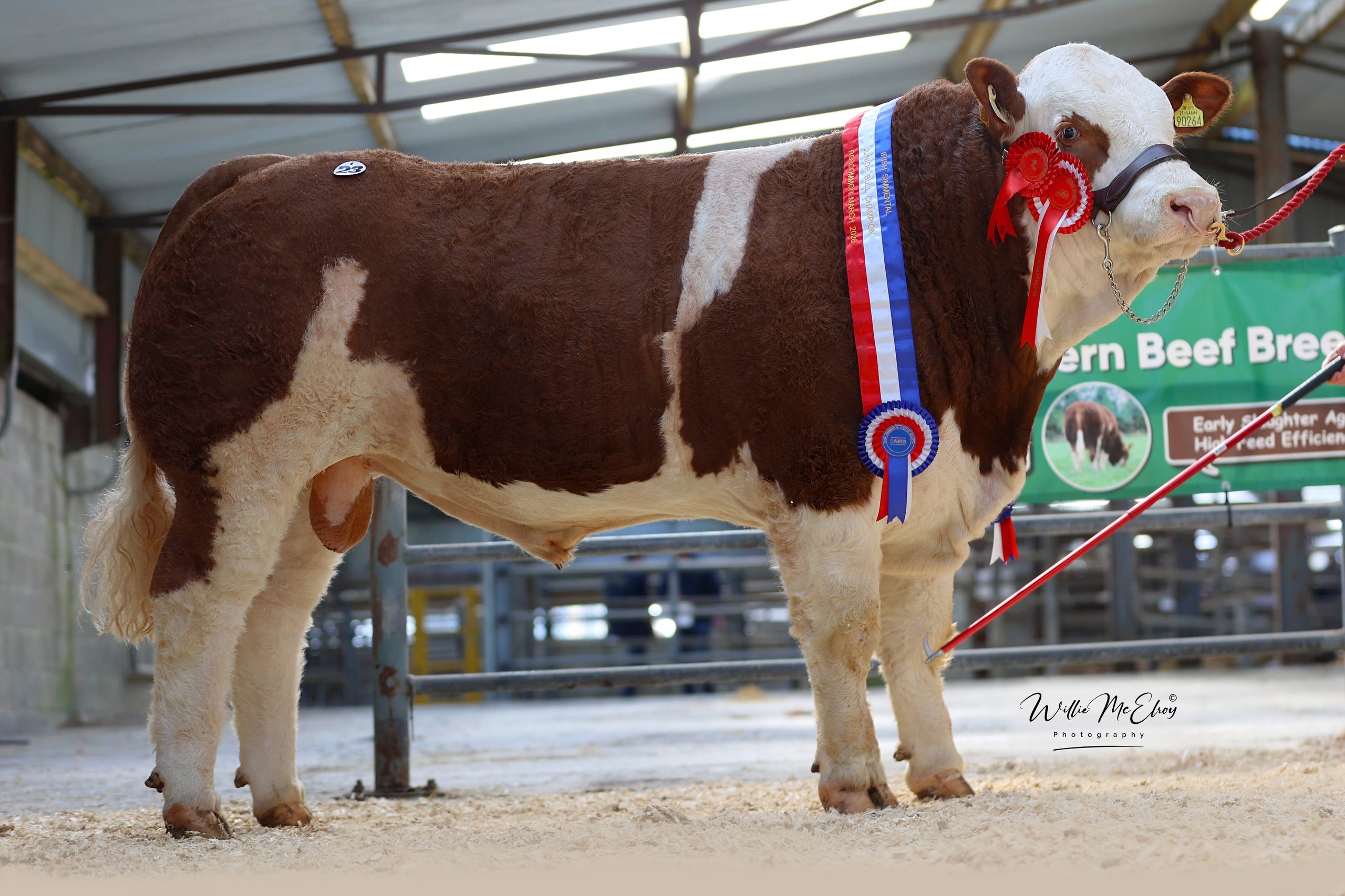 Ardtarmon Troy P €22000