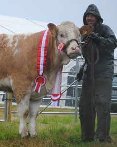 Champion 'Clonagh Jenny Fabulous'