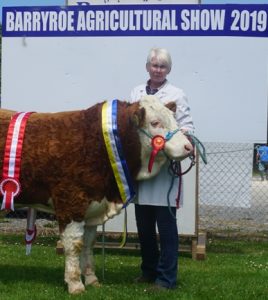 Barryroe19 Overall Champ Sth Simm Club Yearling Bull Calf Champ Dripsey King of Hearts