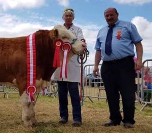 Charleville19 Male Champ Dripsey King of Hearts