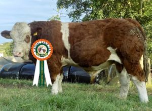 Class 10 no 13 CHAMPION