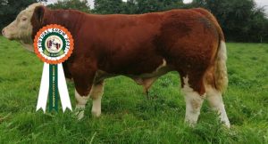 Class 16 No 24 champion