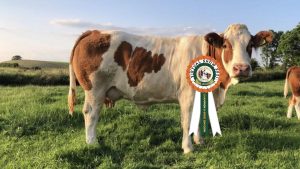 Class 18 no 12 CHAMPION