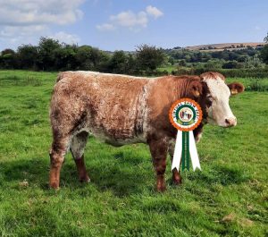 Class 19 no 22 CHAMPION