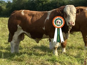 Class 2 No 8 CHAMPION