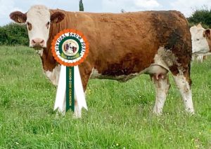 Class 3 No 26 CHAMPION