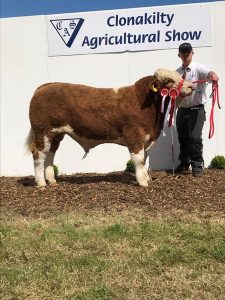 Champion'Carbery K Cilla's Ebony'