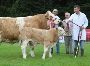 Clonmel19 Champion Clonagh Dora the Explorer