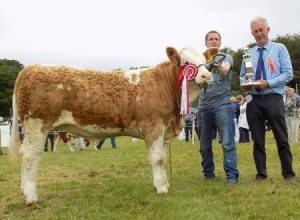 Dunmanway19 Champion Dermody Kandy