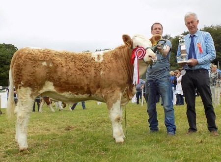 Read more about the article Dunmanway Show 2019