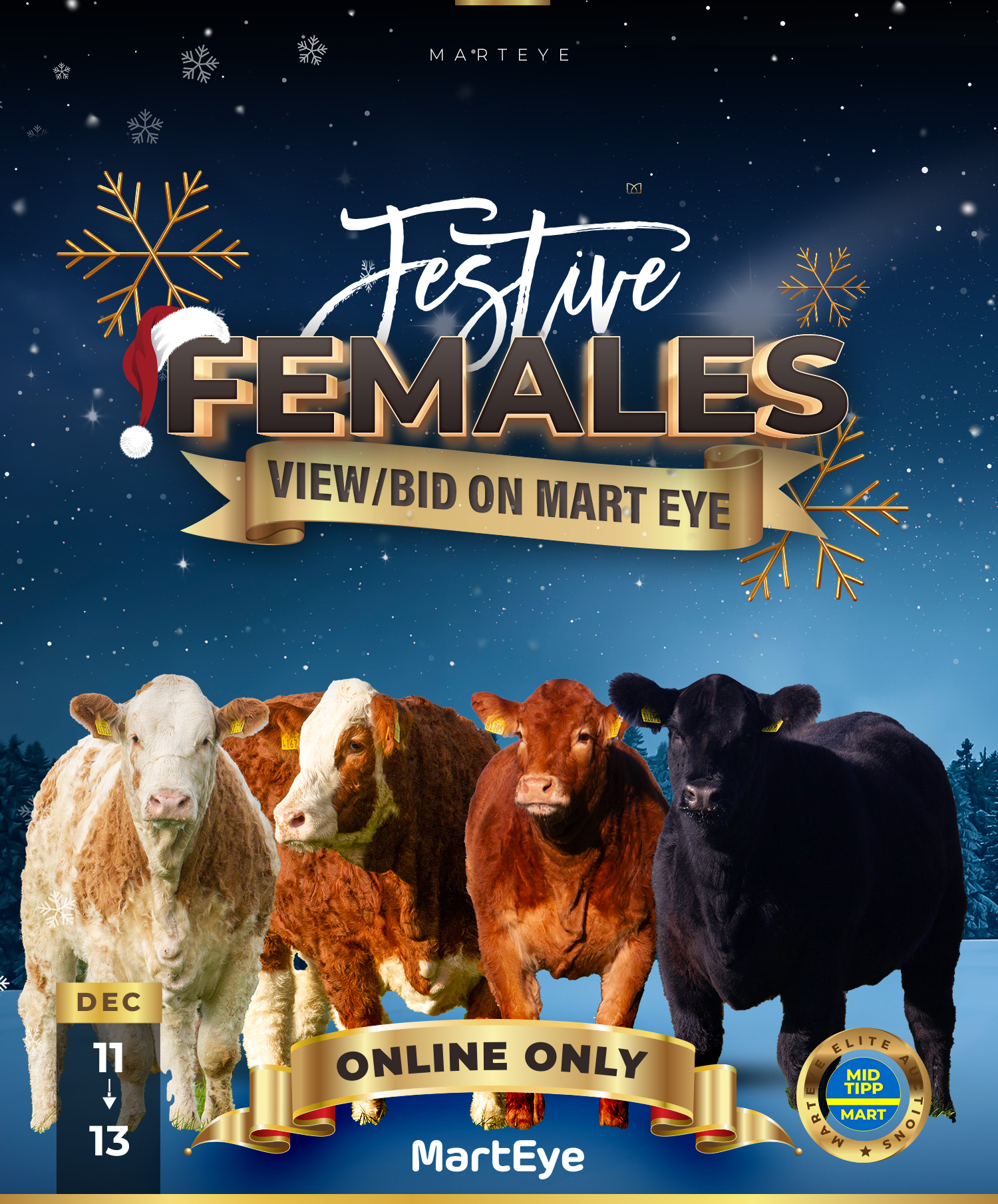 Read more about the article Clonagh & Jennalyn Festive Females Sale 11th to 13th December 2021.