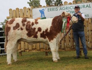 Erris19 Champ Lissadell Just The One